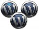 WordPress là gì ? tổng quan về WordPress wordpress-oktot