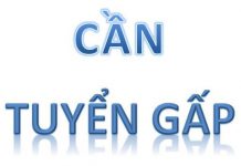 Tuyển thực tập sinh kiểm thử phần mềm ky su mang