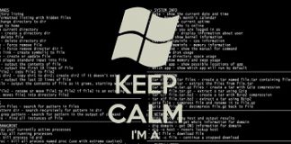 system administrator