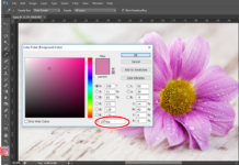 Cách lấy mã màu trong Photoshop