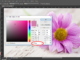 Cách lấy mã màu trong Photoshop