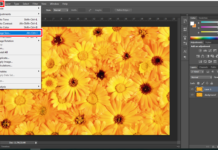 Đổi kích thước ảnh trong Photoshop