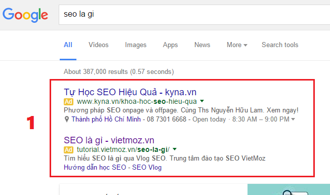 SEO là gì? Bạn đã hiểu được những gì về SEO?